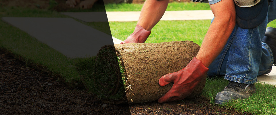 Lomira Landscapers